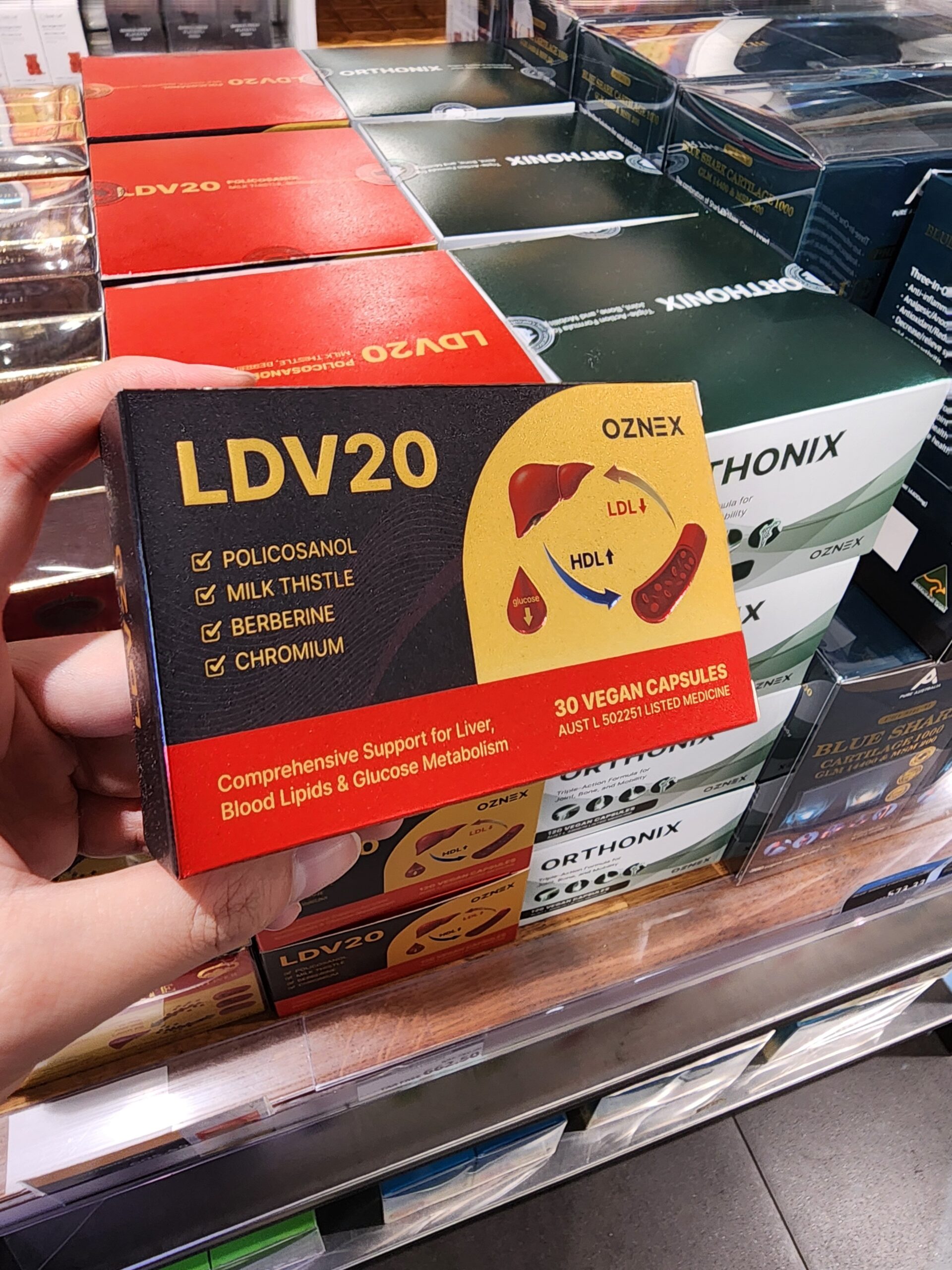 LDV20 부모님 선물