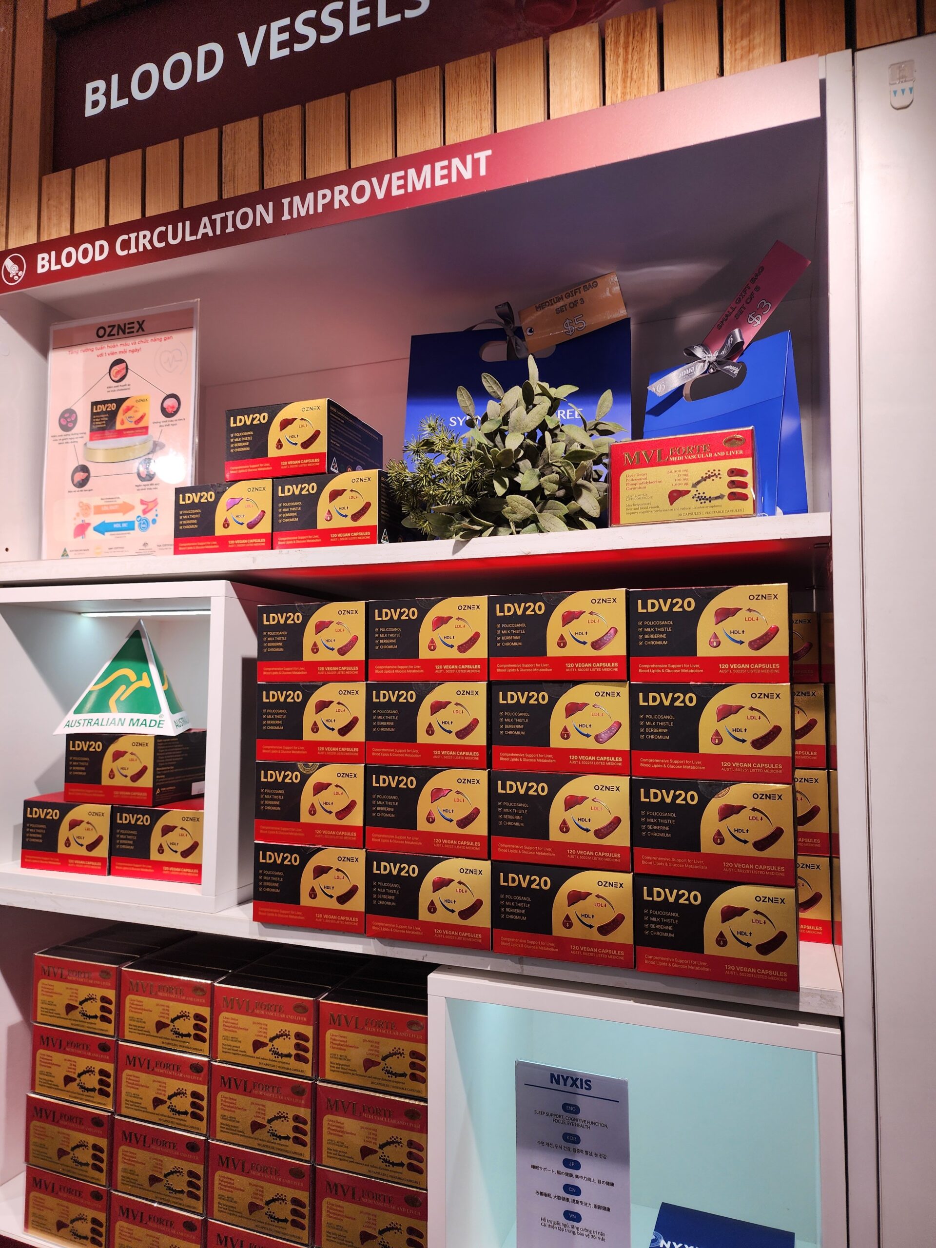 LDV20 부모님 선물