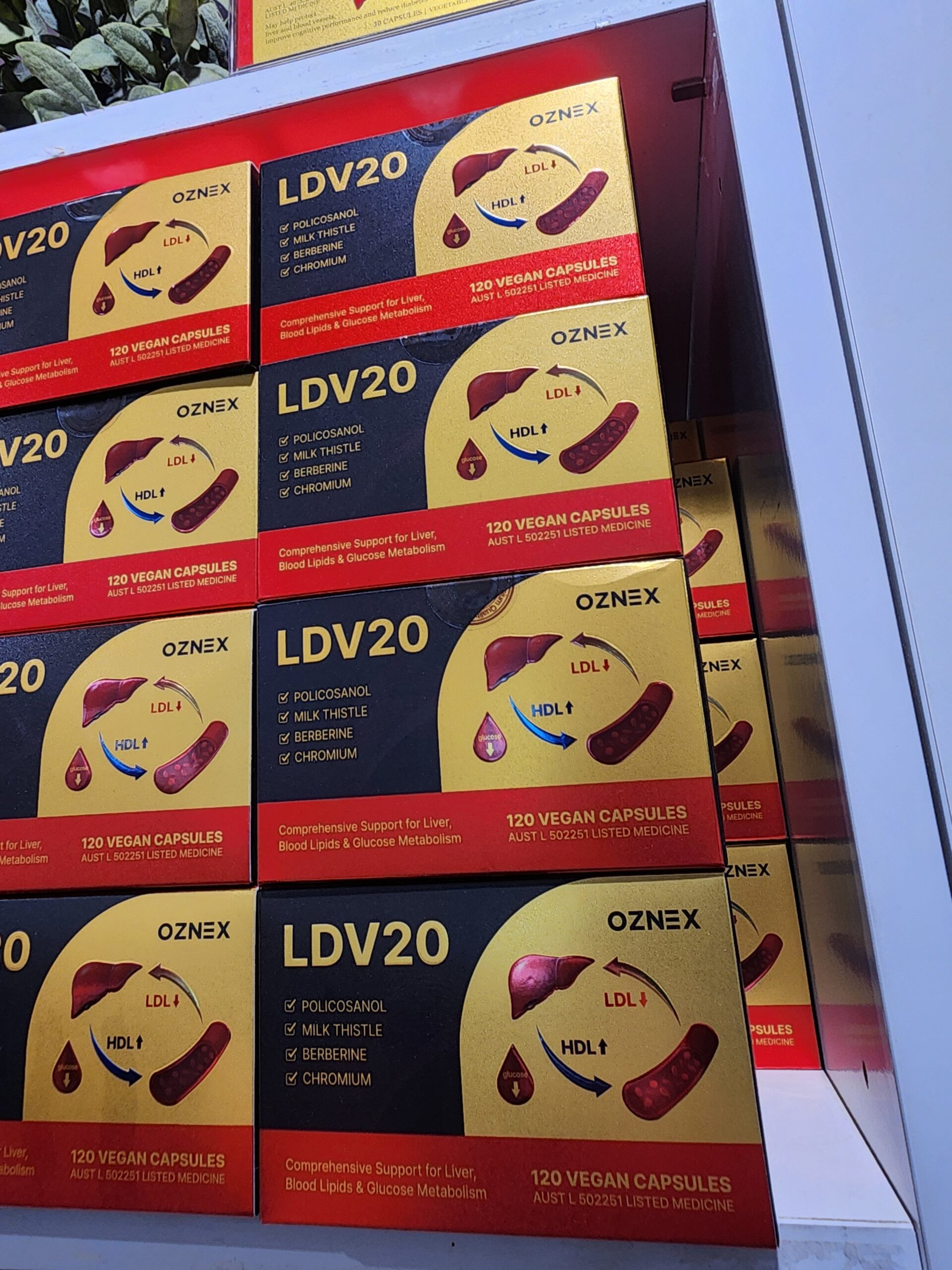 호주 TGA 인증 제품