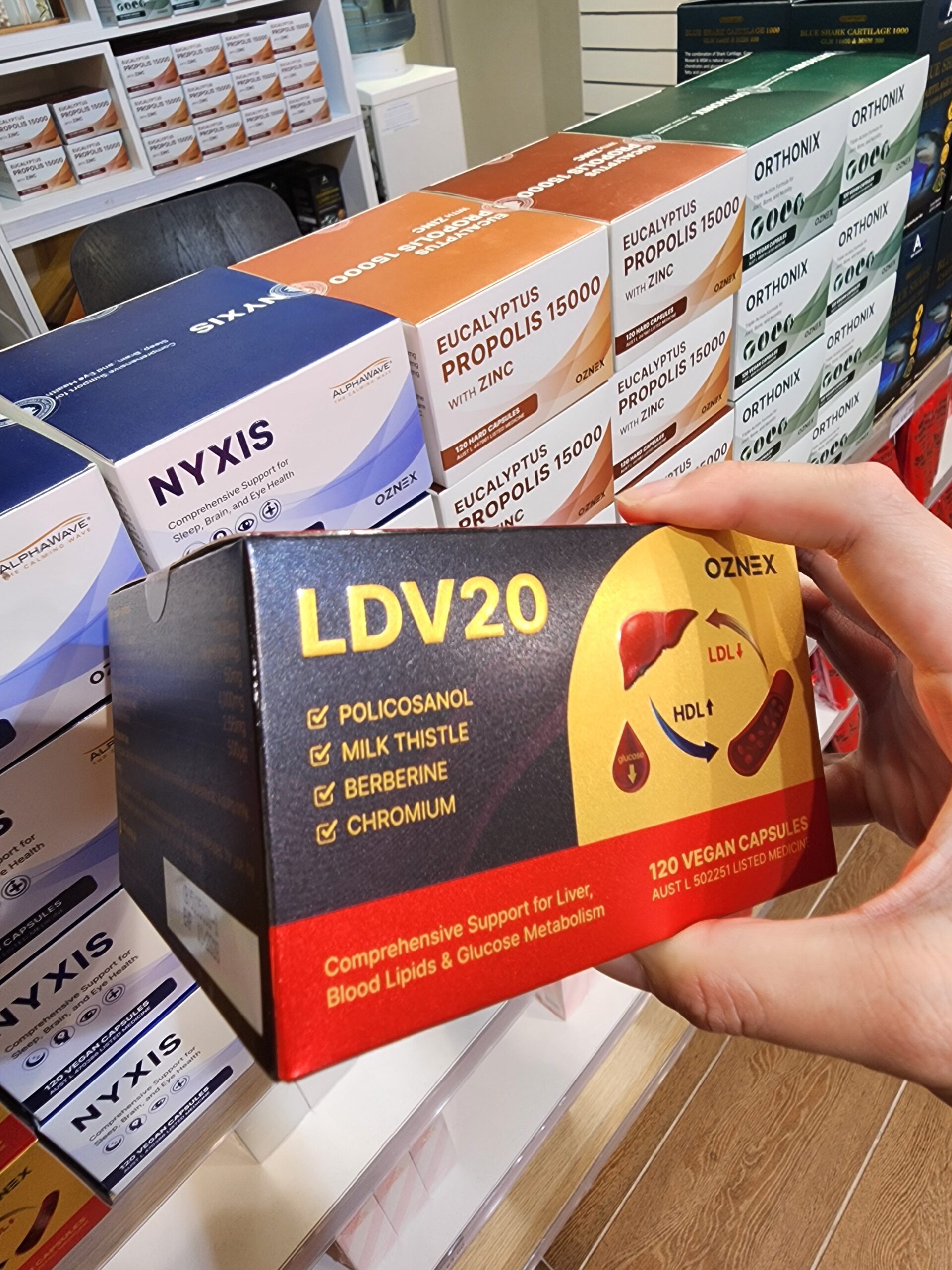 LDV20 부모님 선물